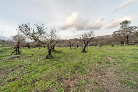 Landejendom i Fundao, Castelo Branco, Fundao - € 595.000 | Ref: 255250049 - foto 16