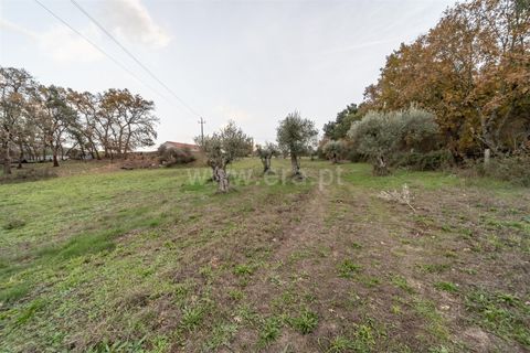 Landejendom i Fundao, Castelo Branco, Fundao - € 595.000 | Ref: 255250049 - foto 17