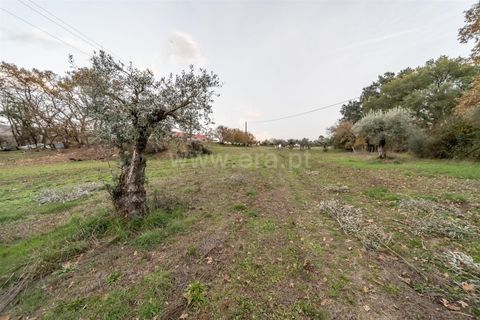 Landejendom i Fundao, Castelo Branco, Fundao - € 595.000 | Ref: 255250049 - foto 18