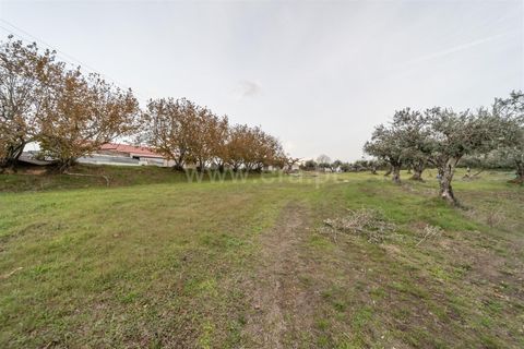 Landejendom i Fundao, Castelo Branco, Fundao - € 595.000 | Ref: 255250049 - foto 19