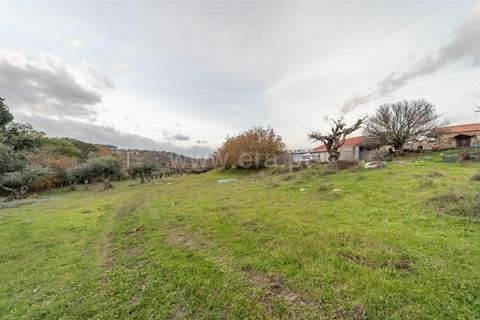 Landejendom i Fundao, Castelo Branco, Fundao - € 595.000 | Ref: 255250049 - foto 21
