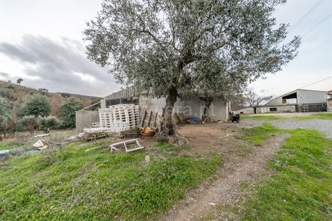 Landejendom i Fundao, Castelo Branco, Fundao - € 595.000 | Ref: 255250049 - foto 22