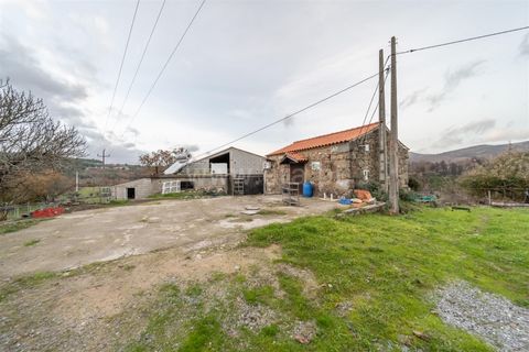 Landejendom i Fundao, Castelo Branco, Fundao - € 595.000 | Ref: 255250049 - foto 23