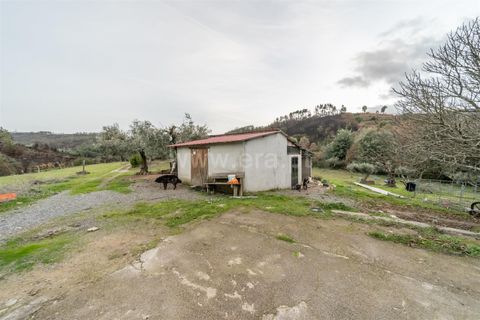 Landejendom i Fundao, Castelo Branco, Fundao - € 595.000 | Ref: 255250049 - foto 26