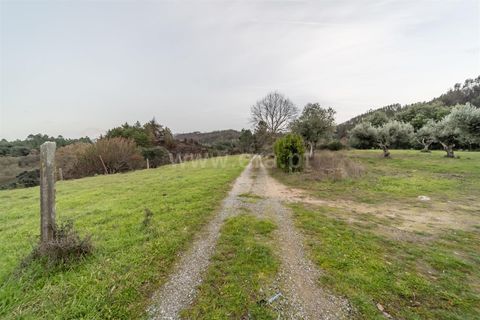 Landejendom i Fundao, Castelo Branco, Fundao - € 595.000 | Ref: 255250049 - foto 30