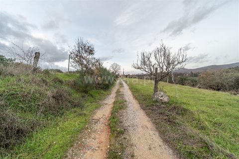 Landejendom i Fundao, Castelo Branco, Fundao - € 595.000 | Ref: 255250049 - foto 32