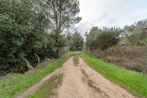 Landejendom i Fundao, Castelo Branco, Fundao - € 595.000 | Ref: 255250049 - foto 33