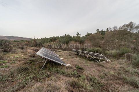 Landejendom i Fundao, Castelo Branco, Fundao - € 595.000 | Ref: 255250049 - foto 34