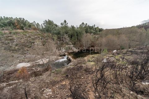 Landejendom i Fundao, Castelo Branco, Fundao - € 595.000 | Ref: 255250049 - foto 36