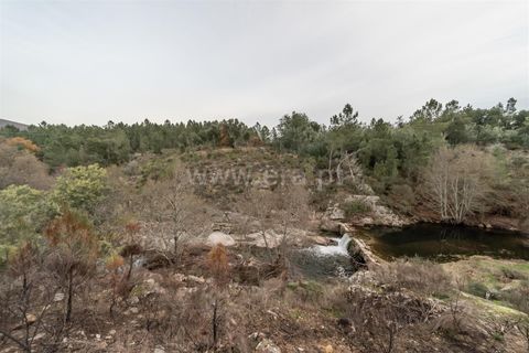 Landejendom i Fundao, Castelo Branco, Fundao - € 595.000 | Ref: 255250049 - foto 37