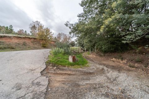 Landejendom i Fundao, Castelo Branco, Fundao - € 595.000 | Ref: 255250049 - foto 39