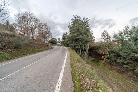 Landejendom i Fundao, Castelo Branco, Fundao - € 595.000 | Ref: 255250049 - foto 40