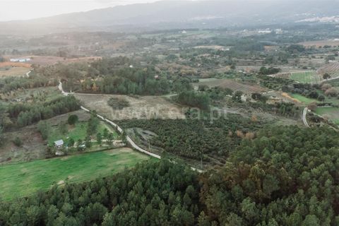 Helårsgrund i Fundao, Castelo Branco, Fundao - € 42.500 | Ref: 255240161 - foto 4