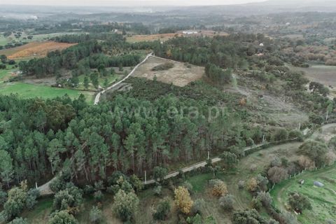 Helårsgrund i Fundao, Castelo Branco, Fundao - € 42.500 | Ref: 255240161 - foto 5