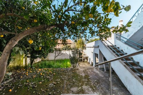 Villa i Belmonte, Castelo Branco, Belmonte - € 215.000 | Ref: 255250062 - foto 29