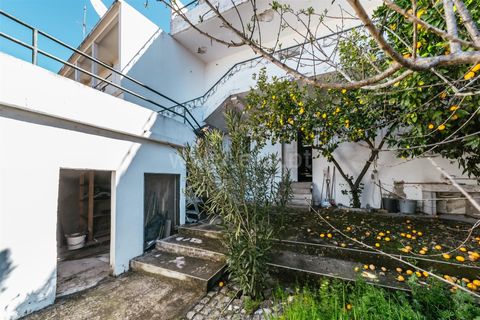 Villa i Belmonte, Castelo Branco, Belmonte - € 215.000 | Ref: 255250062 - foto 31