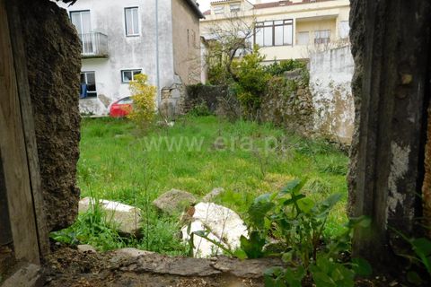 Terra a Fundao, Castelo Branco, Fundao - € 300.000 | Ref: 255250063 - foto 7