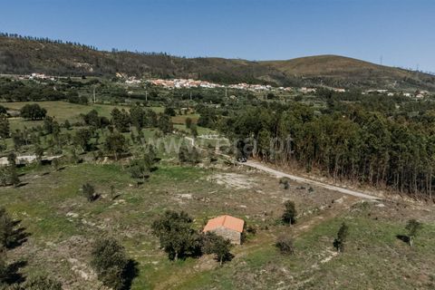Farm i Fundao, Castelo Branco, Fundao - € 155.000 | Ref: 255250019 - foto 1