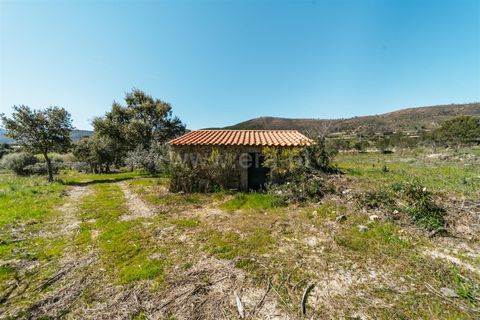 Farm i Fundao, Castelo Branco, Fundao - € 155.000 | Ref: 255250019 - foto 2