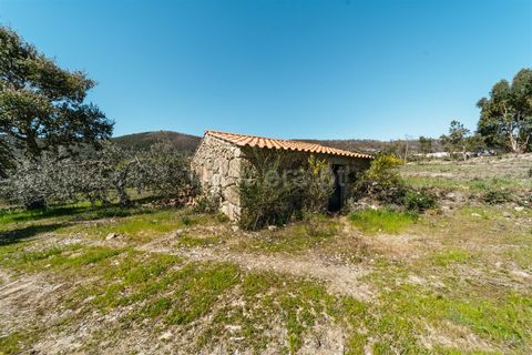 Farm i Fundao, Castelo Branco, Fundao - € 155.000 | Ref: 255250019 - foto 3