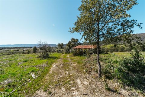 Farm i Fundao, Castelo Branco, Fundao - € 155.000 | Ref: 255250019 - foto 4