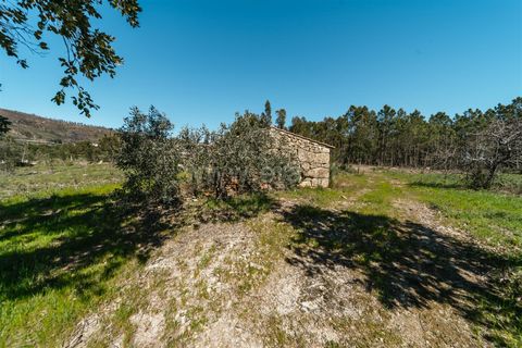 Farm i Fundao, Castelo Branco, Fundao - € 155.000 | Ref: 255250019 - foto 5