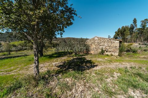 Farm i Fundao, Castelo Branco, Fundao - € 155.000 | Ref: 255250019 - foto 7