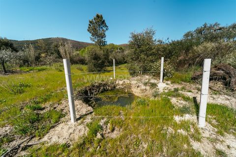 Farm i Fundao, Castelo Branco, Fundao - € 155.000 | Ref: 255250019 - foto 8