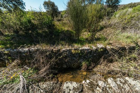Farm i Fundao, Castelo Branco, Fundao - € 155.000 | Ref: 255250019 - foto 10