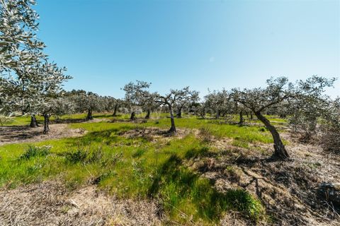 Farm i Fundao, Castelo Branco, Fundao - € 155.000 | Ref: 255250019 - foto 11