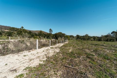Farm i Fundao, Castelo Branco, Fundao - € 155.000 | Ref: 255250019 - foto 13
