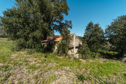 Farm i Fundao, Castelo Branco, Fundao - € 155.000 | Ref: 255250019 - foto 16