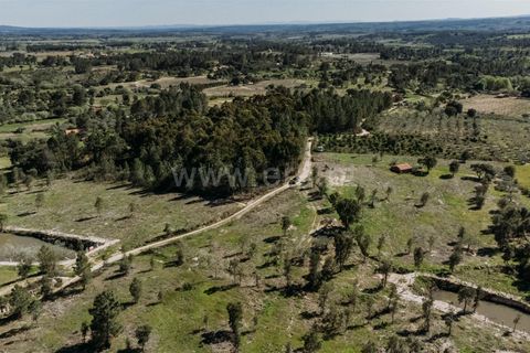 Farm i Fundao, Castelo Branco, Fundao - € 155.000 | Ref: 255250019 - foto 18