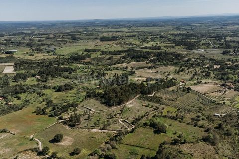 Farm i Fundao, Castelo Branco, Fundao - € 155.000 | Ref: 255250019 - foto 19