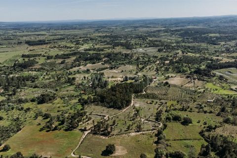 Farm i Fundao, Castelo Branco, Fundao - € 155.000 | Ref: 255250019 - foto 20