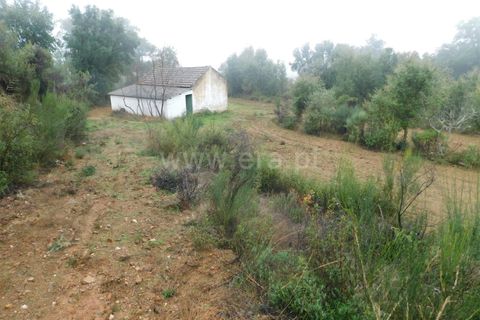 Helårsgrund i Fundao, Castelo Branco, Fundao - € 39.000 | Ref: 255250052 - foto 1
