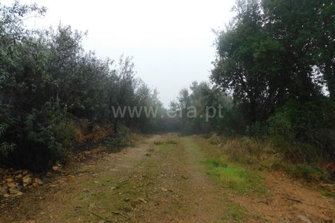 Helårsgrund i Fundao, Castelo Branco, Fundao - € 39.000 | Ref: 255250052 - foto 5