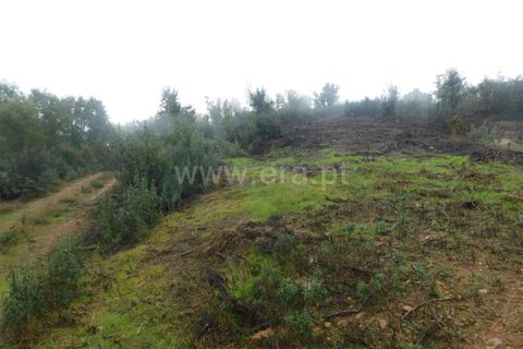Helårsgrund i Fundao, Castelo Branco, Fundao - € 39.000 | Ref: 255250052 - foto 6