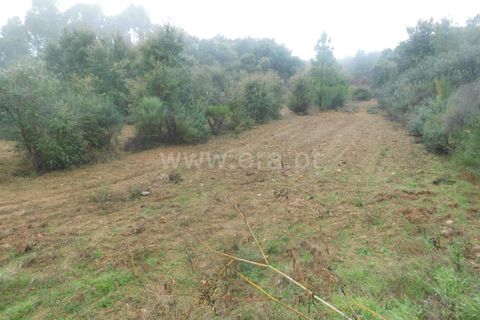 Helårsgrund i Fundao, Castelo Branco, Fundao - € 39.000 | Ref: 255250052 - foto 7