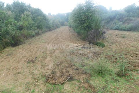 Helårsgrund i Fundao, Castelo Branco, Fundao - € 39.000 | Ref: 255250052 - foto 8