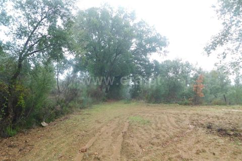 Helårsgrund i Fundao, Castelo Branco, Fundao - € 39.000 | Ref: 255250052 - foto 9