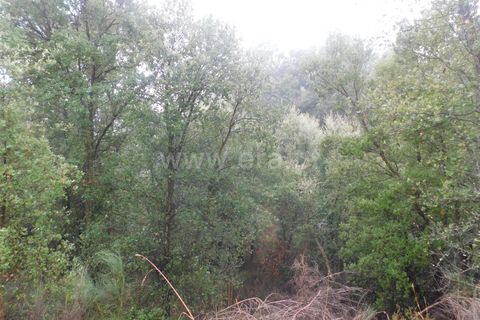 Helårsgrund i Fundao, Castelo Branco, Fundao - € 39.000 | Ref: 255250052 - foto 10