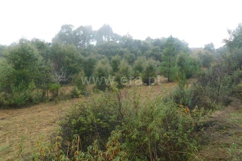 Helårsgrund i Fundao, Castelo Branco, Fundao - € 39.000 | Ref: 255250052 - foto 11