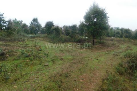 Helårsgrund i Fundao, Castelo Branco, Fundao - € 39.000 | Ref: 255250052 - foto 12