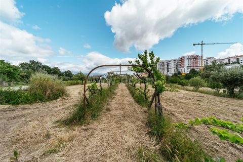 Helårsgrund i Fundao, Castelo Branco, Fundao - € 325.000 | Ref: 255250074 - foto 2