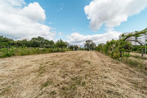 Helårsgrund i Fundao, Castelo Branco, Fundao - € 325.000 | Ref: 255250074 - foto 3