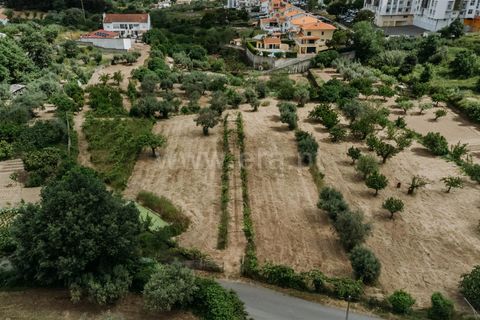 Helårsgrund i Fundao, Castelo Branco, Fundao - € 325.000 | Ref: 255250074 - foto 6