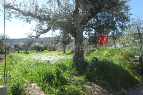Landejendom i Fundao, Castelo Branco, Fundao - € 28.500 | Ref: 255250091 - foto 1