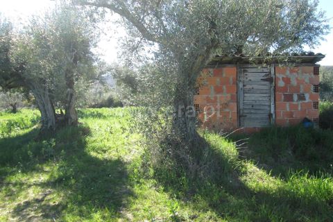 Landejendom i Fundao, Castelo Branco, Fundao - € 28.500 | Ref: 255250091 - foto 3