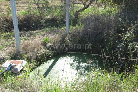 Landejendom i Fundao, Castelo Branco, Fundao - € 28.500 | Ref: 255250091 - foto 4